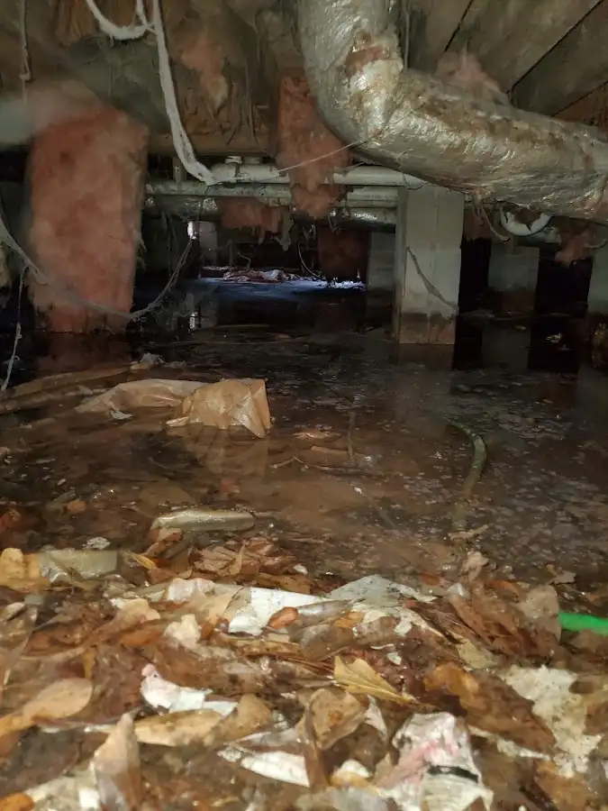 Crawl space flood assessment for Commercial Water Damage Restoration in Scott
